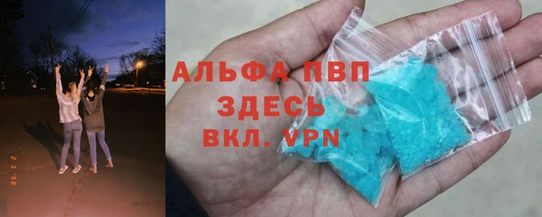 крисы Алексин