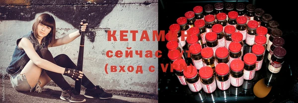 крисы Алексин
