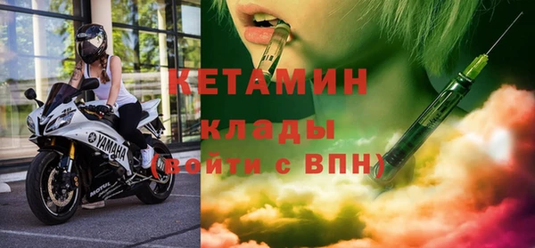 крисы Алексин