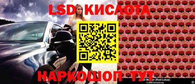 эйфоретик Бийск