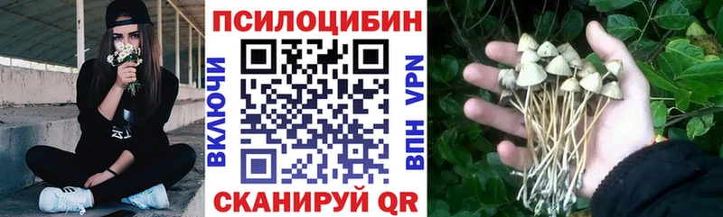 Псилоцибиновые грибы мухоморы  Кириши 