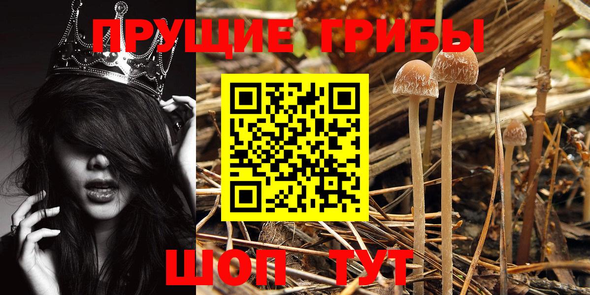 Галлюциногенные грибы GOLDEN TEACHER Кириши